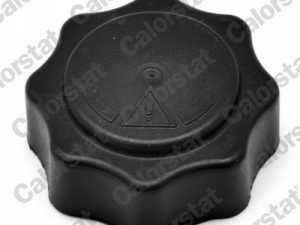 Buson vas expansiune HONDA CIVIC VI Aerodeck (MB, MC) 2.0 i D (MC3) diesel 105 cai CALORSTAT BY VERNET RC0010