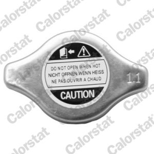 Buson radiator HONDA CIVIC VI cupe (EJ, EM1) 1.6 (EJ6) benzina 107 cai CALORSTAT BY VERNET RC0040