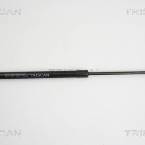 Amortizor portbagaj HYUNDAI i40 I (VF) 1.7 CRDI diesel 141 cai TRISCAN 8710 10207