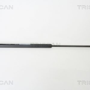 Amortizor portbagaj HYUNDAI GETZ (TB) 1.1 benzina 63 cai TRISCAN 8710 43215