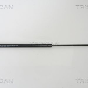 Amortizor portbagaj HYUNDAI SANTA FE I (SM) 2.0 CRDi 4x4 diesel 113 cai TRISCAN 8710 43217