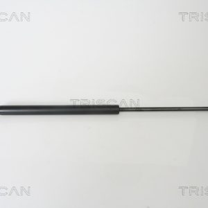 Amortizor portbagaj HYUNDAI TERRACAN (HP) 3.5 i V6 4WD benzina 194 cai TRISCAN 8710 43221