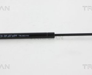Amortizor luneta HYUNDAI TUCSON (JM) 2.0 CRDi tractiune integrala diesel 150 cai TRISCAN 8710 43226