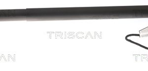 Amortizor portbagaj HYUNDAI TUCSON (TL, TLE) 2.0 CRDi Hybrid 48V tractiune integrala Diesel/electro 185 cai TRISCAN 8710 43301