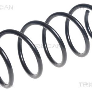 Arc spiral HYUNDAI i20 I (PB, PBT) 1.1 CRDi diesel 75 cai TRISCAN 8750 43131