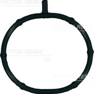 Garnitura galerie admisie VICTOR REINZ 71-15700-00 – imagine produs