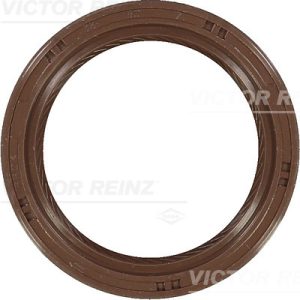 Simering ax cu came VICTOR REINZ 81-53231-00 – imagine produs
