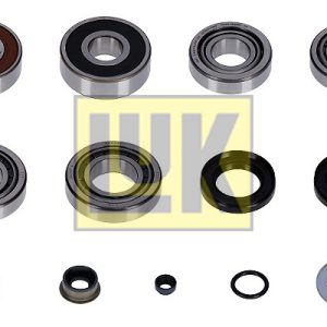 Set reparatie transmisie manuala LUK 462 0213 10