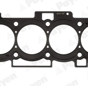 Garnitura chiulasa PAYEN AH6320 – HYUNDAI | AutoRival