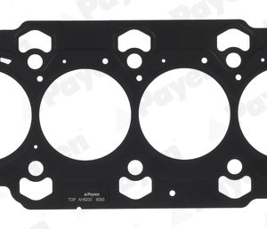 Garnitura chiulasa PAYEN AH8200 – HYUNDAI | AutoRival