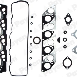 Set garnituri chiulasa PAYEN DS130 – HYUNDAI | AutoRival