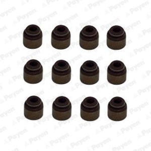 Set garnituri ax supape PAYEN HR5133 – HYUNDAI | AutoRival