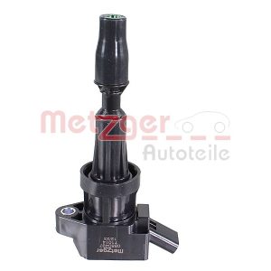 Bobina de inductie METZGER 0880497