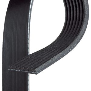 Curea transmisie cu caneluri ISUZU FORWARD F N75-190 diesel 190 cai GATES 7PK1020