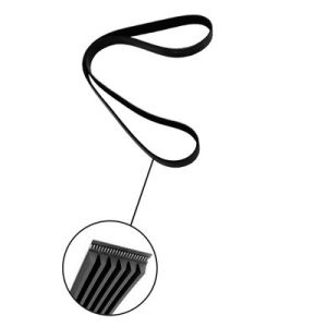 Curea transmisie cu caneluri TRUCKTEC AUTOMOTIVE 07.19.234 ISUZU TROOPER III 3,494 cmc (6VE1) benzina 215 TRUCKTEC AUTOMOTIVE 07.19.234