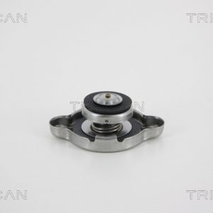 Buson radiator TRISCAN 8610 5 ISUZU MIDI bus (94000, 98000) 2,189 cmc (4FD1) diesel 61 TRISCAN 8610 5