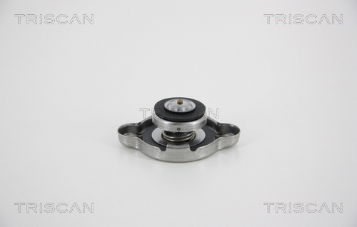 Buson radiator TRISCAN 8610 5 ISUZU N (6th Generation) 5,193 cmc diesel 150 TRISCAN 8610 5