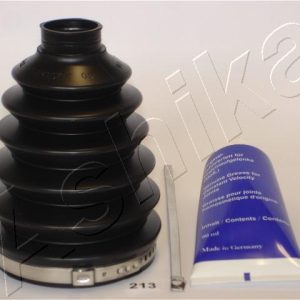 Ansamblu burduf articulatie planetara ASHIKA 63-02-213