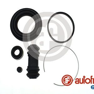 Set reparatie etrier AUTOFREN SEINSA D4209