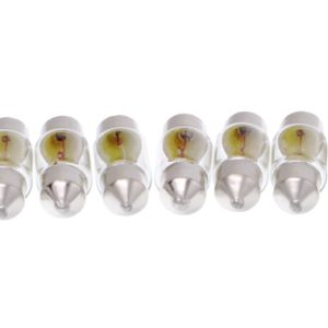 Bec lumini interioare MAXGEAR 78-0123SET