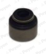 Etansare supape PAYEN PA425 – ISUZU | AutoRival