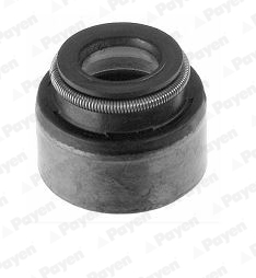 Etansare supape PAYEN PA658 – ISUZU | AutoRival