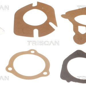 Termostat lichid racire TRISCAN 8620 2982 – ISUZU | AutoRival