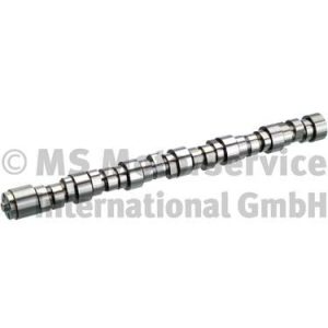 Ax cu came BF 20101419000 – IVECO | AutoRival