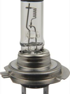 Bec far faza lunga HERTH BUSS ELPARTS 89901207 – IVECO | AutoRival