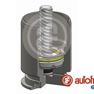 Piston etrier frana AUTOFREN SEINSA D025363LK