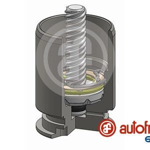 Piston etrier frana AUTOFREN SEINSA D025363RK