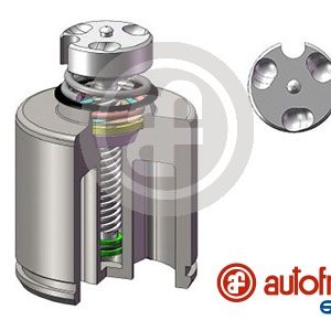 Piston etrier frana AUTOFREN SEINSA D025627RK