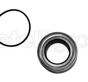 Set rulment roata METELLI 19-2745 – IVECO | AutoRival