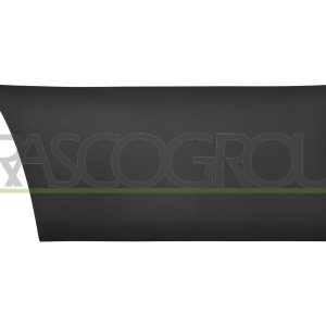 Elemente decorative / protectie portiera PRASCO FT9501404 – IVECO | AutoRival