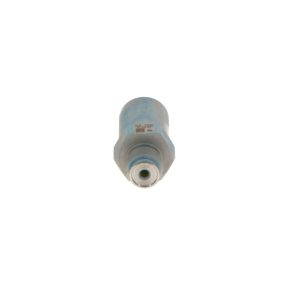 Supapa limitare presiune sistem Common-Rail BOSCH 1 110 010 034