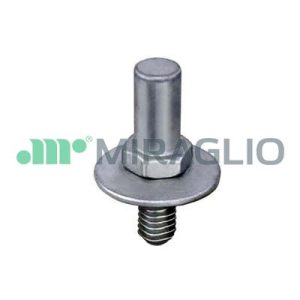 Incuietoare usa MIRAGLIO 41/59 – IVECO | AutoRival