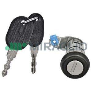 Carcasa cilindru inchidere MIRAGLIO 80/546B – IVECO | AutoRival