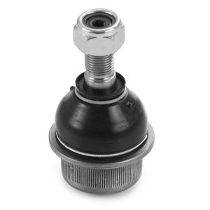 Pivot REINWEG RW60378 – IVECO | AutoRival