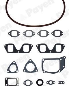 Set garnituri chiulasa PAYEN DV520 – IVECO | AutoRival