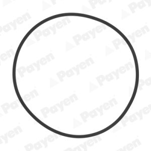Set garnituri bucsa cilindru PAYEN HL5383 – IVECO | AutoRival