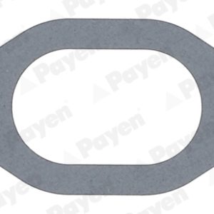 Garnitura galerie admisie PAYEN JC054 – IVECO | AutoRival