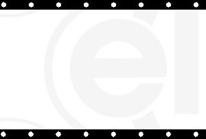 Garnitura baie ulei ELRING 583.430 – IVECO | AutoRival