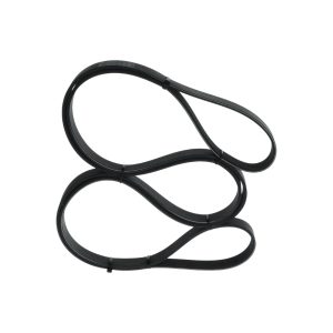 Curea transmisie cu caneluri LAND ROVER DEFENDER Pick Up (L316) 2.4 Td4 4x4 (L317) diesel 122 cai BOSCH 1 987 947 558