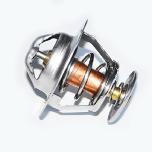 Termostat lichid racire LAND ROVER DEFENDER Pick Up (L316) 2.4 Td4 4x4 (L317) diesel 122 cai ASAM AUTOMOTIVE 73367