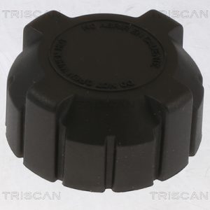 Buson vas expansiune LAND ROVER DEFENDER platou / sasiu (L316) 2.2 Td4 4x4 (L317) diesel 122 cai TRISCAN 8610 20