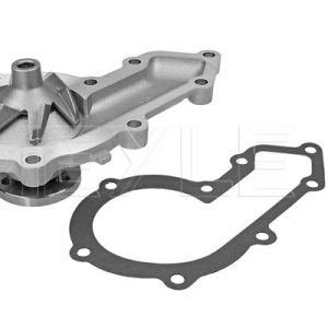 Pompa de apa LAND ROVER DEFENDER Cabrio (L316) 2.5 TDI 4x4 (L316) diesel 113 cai MEYLE 53-13 220 0001