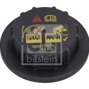 Buson vas expansiune FEBI BILSTEIN 193899 LAND ROVER RANGE ROVER SPORT I (L320) 4,394 cmc (448PN(AJV8) benzina 299 FEBI BILSTEIN 193899