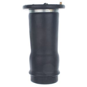 Arc pneumatic directie DENCKERMANN DSA122G LAND ROVER DISCOVERY II (L318) 2,495 cmc (15 P, 10 P) diesel 136 DENCKERMANN DSA122G