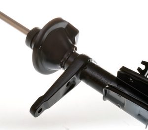 Amortizor DENCKERMANN DSB172G LAND ROVER FREELANDER I Soft Top (L314) 1,796 cmc (18 K4F) benzina 120 DENCKERMANN DSB172G