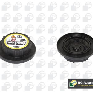 Buson vas expansiune BGA CC3020 LAND ROVER RANGE ROVER SPORT I (L320) 4,197 cmc (428PS(AJV8) benzina 396 BGA CC3020